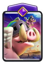 Königsschweinchen Entwicklung